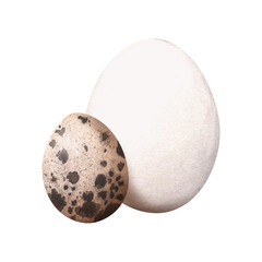 Chicken and quail egg. Hand drawn watercolor illustration. Fresh organic farm products. Ingredient for cooking. For background, packaging, banner, label