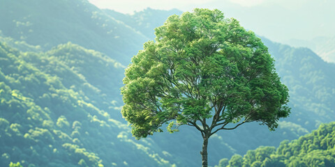 A towering green tree stands tall against the backdrop of a serene mountain range