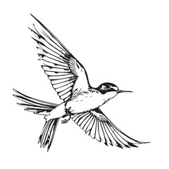 Obraz premium Swallow in cartoon, doodle style. Image for t-shirt, web, mobile apps and ui. Isolated 2d vector illustration in logo, icon, sketch style, Eps 10. AI Generative