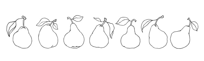 A set of linear sketches, contours of pear fruits. Vector graphics.