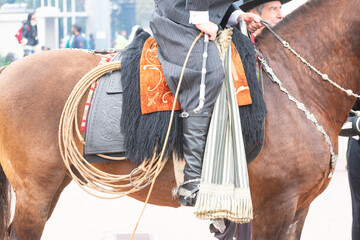 Antique Leather and Silver Accents on a Majestic Paso Peruano Horse