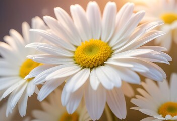 Naklejka premium Daisies flower closeup Realistic Light understand sun light significantly summer season flower concept