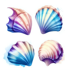 set of seashells