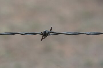 barbed wire on a fence