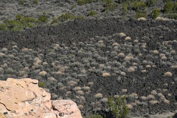 Lava fields in New Mexico