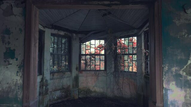 Antigua habitaci&oacute;n con paredes azules y hojas de oto&ntilde;o en las ventanas en una casa abandonada (ProRes 422HQ, 4K)