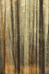 Abstract intentional camera movement photo with a forest. Moody eerie photographic art