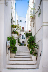 Fototapeta premium Discovering Locorotondo: The Heart of Puglia’s Scenic Valleys