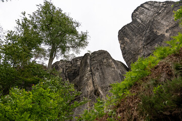 A mountain with a tree on it. The sky is cloudy and the mountain is very tall