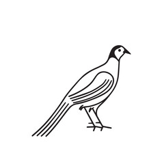 Fototapeta premium Pheasant in cartoon, doodle style. Image for t-shirt, web, mobile apps and ui. Isolated 2d vector illustration in logo, icon, sketch style, Eps 10. AI Generative
