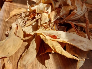 Autumn leaves on the Sun, close up photo