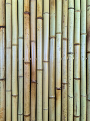 Close up view of the surface of a wall made of bamboo tubes.
