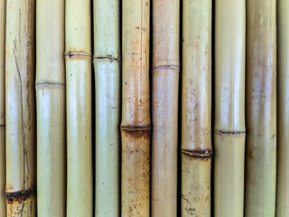 Close up view of the surface of a wall made of bamboo tubes.