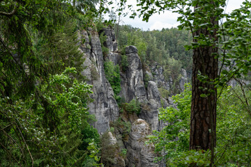 A mountain range with a forest in the background. The trees are green and the sky is cloudy