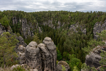 A mountain range with a forest in the background. The trees are green and the sky is cloudy