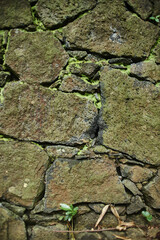 stone wall with moss