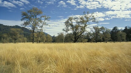   A lush green meadow surrounded by majestic trees and a vibrant blue sky dotted with feathery clouds