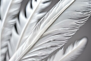 A close-up photo of the delicate structure of a white feather, Macro shot white feather