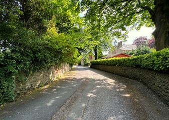A tranquil street is bordered by verdant trees and stone walls, leading off into the distance where a house with a red roof is visible on Heirhouse Lane, Colne, UK.