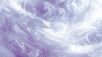 Obraz premium A detailed photo of white feathers against a mixed purple and white backdrop, with softly blurred images of the feathers