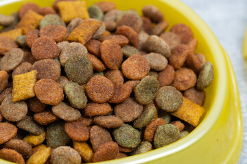 Cat dry food in yellow bowl closeup.