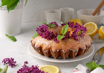 Still life of lemon cake with lilac flowers on the top, white background.