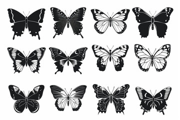 Collection of butterflies set vector icon, white background, black colour icon