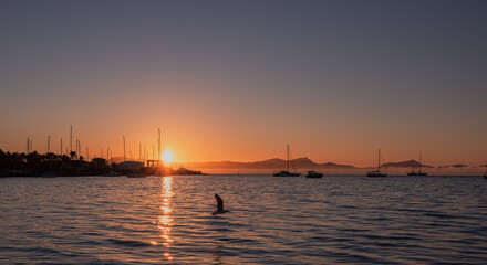 Naklejka premium Sea harbor at dawn. The sky, painted golden by the rising sun, is reflected in the calm ripples of the sea. The yachts stand out in beautiful silhouettes against the sky, bathed in the light of dawn