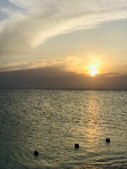 sunset over the sea © Nileydis