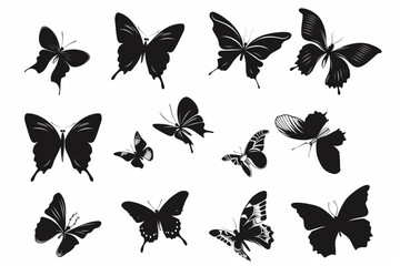 Flying butterflies set vector icon, white background, black colour icon