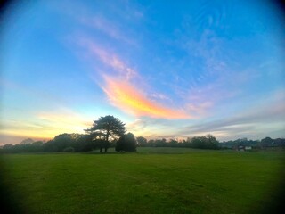 sunset over green field