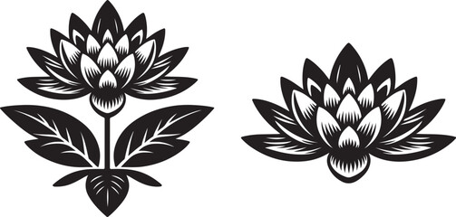 Obraz premium Lotus flower vector, white background, eps 10