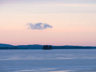 Group of trees in frozen lake at sunset