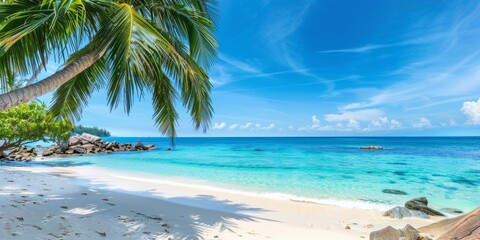 A serene tropical beach with swaying palm trees overlooking the beautiful ocean under a clear sky