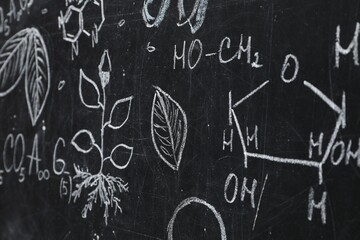 Chemical formulas and different pictures drawn on blackboard