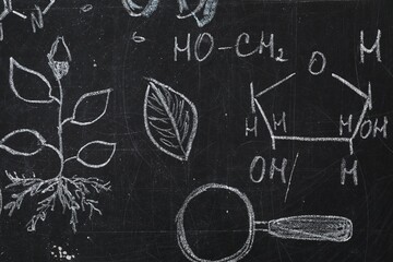 Chemical formulas and different pictures drawn on blackboard