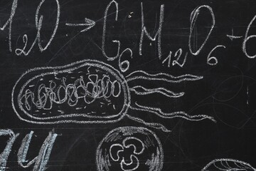 Chemical formulas and different pictures drawn on blackboard