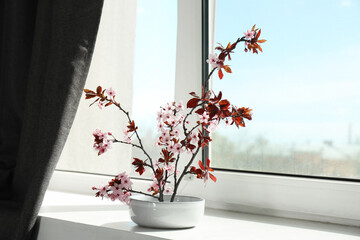 Spring season. Composition with beautiful blossoming tree branches on windowsill