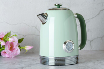 Green stylish electric teapot with roses in background.