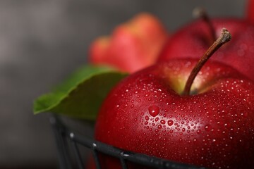 Fresh ripe red apples with water drops in metal bowl on grey background, closeup. Space for text