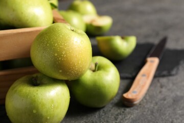 Ripe green apples with water drops and knife on grey table, closeup