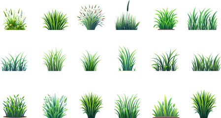 Green grass vector elements. Bunch of spring grass with flowers. Realistic meadow . Green field. Spring botanical elements . Tufts of gardens plants .Lawn grass. Spikelet