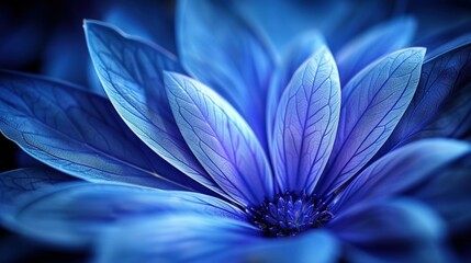 Obraz premium Blue flower with plenty of leaves in the center and petals on the outer edge