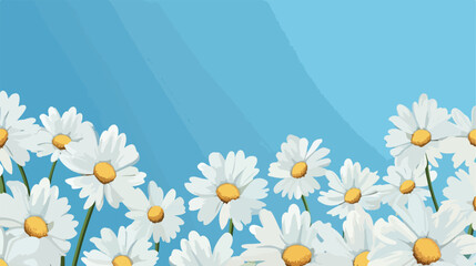White gerbera flowers on blue background 2d flat ca