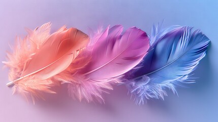Naklejka premium A trio of feathers rests atop a blue-pink table beside a pink-blue wall