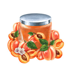 Glass jars sealed with gold, silver, bronze lids contain apricot jam. Watercolor illustration for template design of sweet harvest, summer fruits, juices, canned food, marmalade and sweets