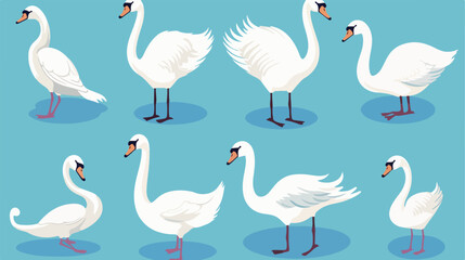 White swan collection on blue background. Singles a