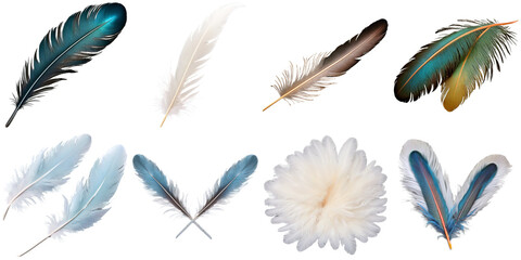 A collection of a variety of feathers arranged in different ways, PNG with transparent background, AI