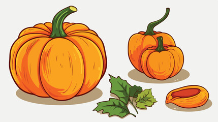 Whole pumpkin and piece hand draw sketch. Autumn sy