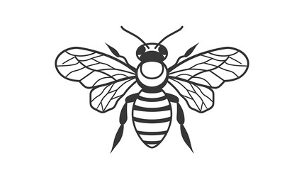 Obraz premium outline drawing, flower outline, animal outline, world map outline, heart outline, doodle, cartoon, cute, happy, mammal, children, baby, black, pretty, art, funny, design, book, pony, page, background